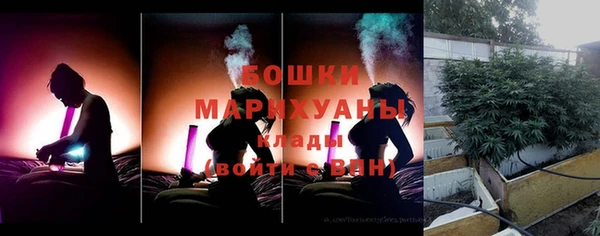 спайс Рославль
