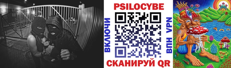 купить наркотик  блэк спрут онион  Псилоцибиновые грибы Cubensis  Шлиссельбург 